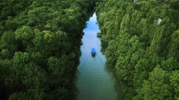 Luftaufnahme des Waldes und des Kamtschia-Flusses in Bulgarien