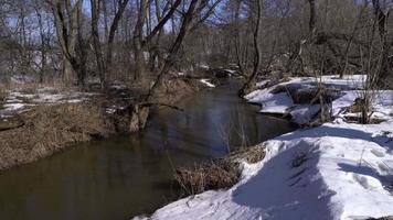Snowy Forest with small river at early spring video