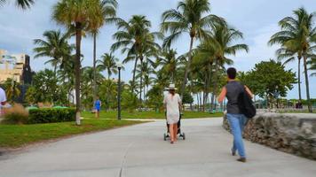 video estoque da Ocean Drive Miami Beach