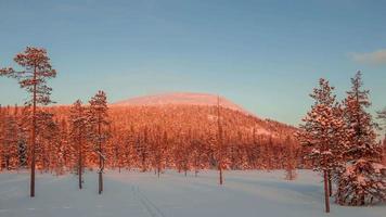 Evening in Lapland. Time Lapse UHD