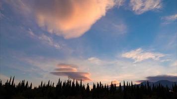 Clouds and green cypresses at sunset, time lapse, 4k