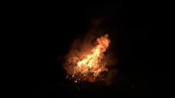hübsches Lagerfeuer in Zeitlupe brennender Gartenabfall. Lagerfeuer Nachtparty video