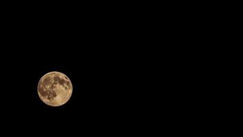 time-lapse van volle maan stijgt en beweegt langs de hemel video