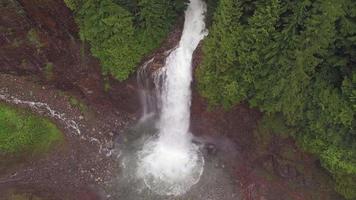 foresta impetuosa cascata del fiume in natura aerea del pacifico nord-ovest video