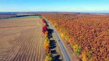 Aerial view of suburban road between field and forest video