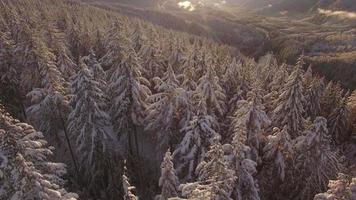 colpo di drone ora d'oro di neve invernale sulla montagna scoperta nella valle del cielo video