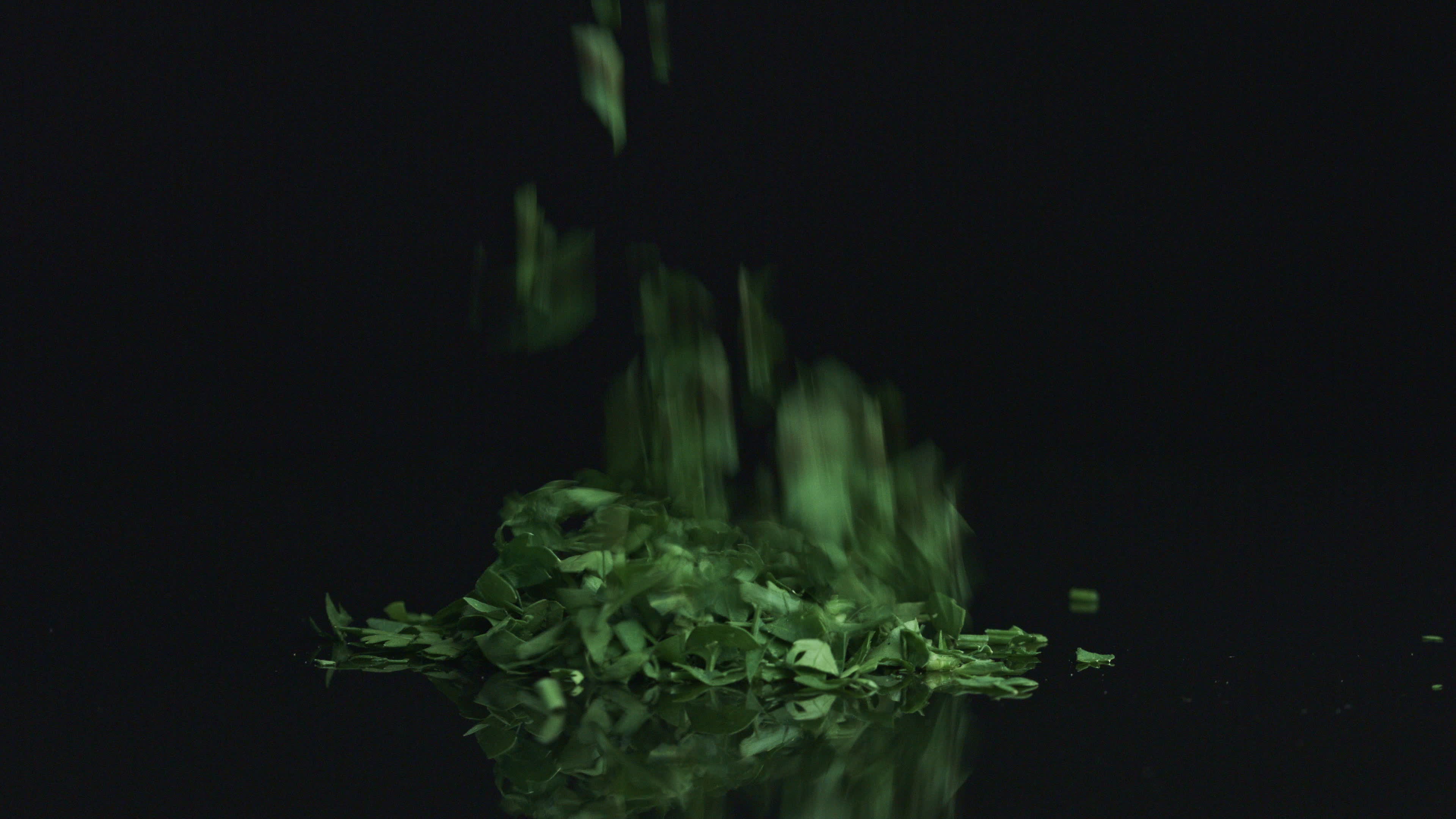 Parsley cilantro falling down. 1302758 Stock Video at Vecteezy