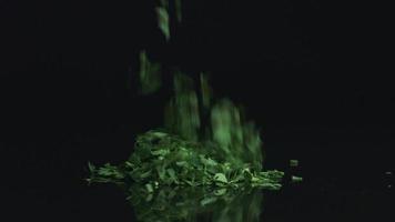 Parsley (cilantro) falling down. video