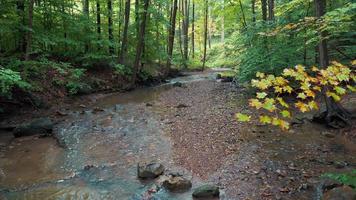 Stream flowing through the Cuyahoga Valley Woods