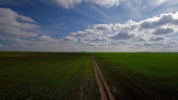 campo di grano verde e giornata di sole, vista aerea video
