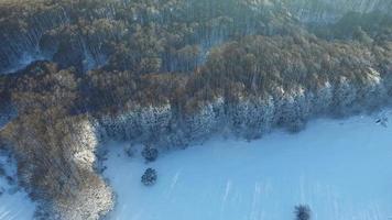 Flying Over a Frosty Forest with a Road.