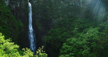 Flygfoto över fantastiskt vattenfall i tropisk regnskog djungel video