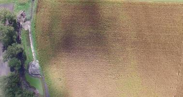 Flygfoto och reseskott genom linjer av majsfält video