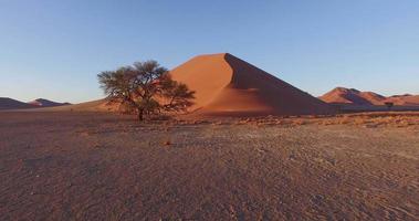 4K aerial view of parabolic sand dunes inside the Namib-Naukluft National Park