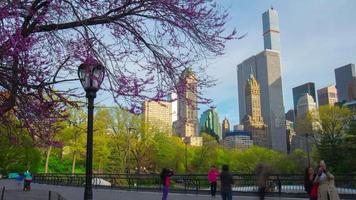 Usa new york sring day light central park panorama 4k time lapse