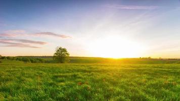 paysage d'été avec coucher de soleil, time-lapse panoramique 4k