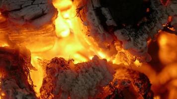 Feuer aus brennendem Holz, Nahaufnahme video