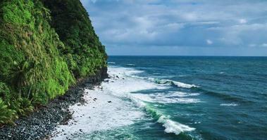 erstaunliche tropische Regenwaldküste video