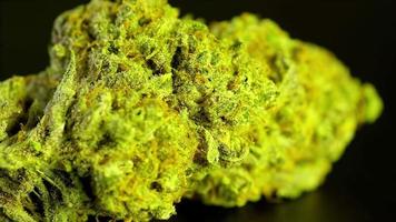 Photo de produit macro rotatif de marijuana de haute qualité, sur un fond noir uni