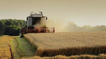 agriculture, combine harvester video