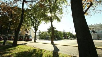 Dolly Schuss der Straßenbahn durch die Bäume am Wiener Boulevard video