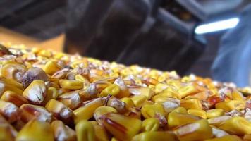 majs i en jordbrukssilo