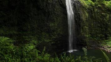 tropischer üppiger Wasserfall