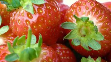 Panning over fresh strawberries