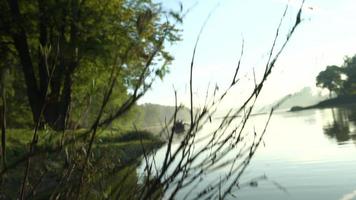 mouvement de la caméra sur le bord de la rivière au lever du soleil video