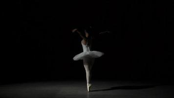 Ballerina In Classical Tutu video