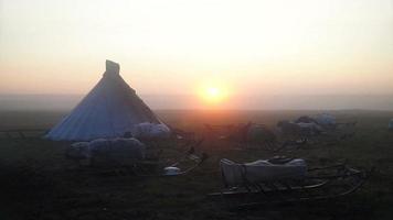 einsamer Kumpel in der Tundra. Sonnenaufgang. video