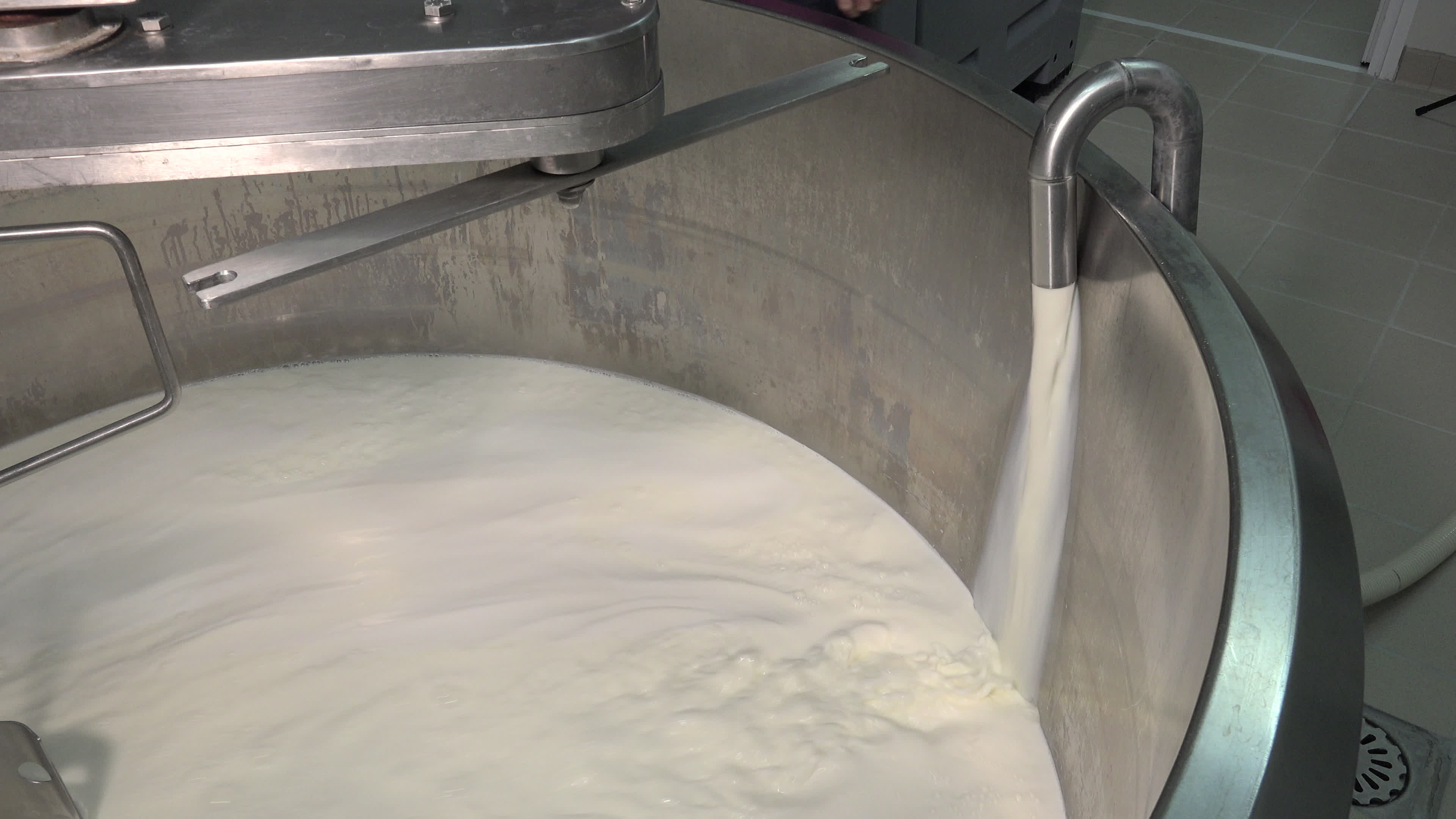 Gouda cheese making from raw milk 1306927 Stock Video at Vecteezy