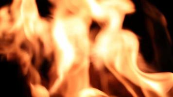 queima de fogo. close-up das chamas video