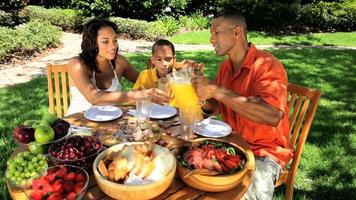 Afro-Amerikaanse familie gezond eten video