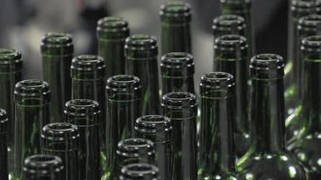 Bordeaux Saint Emilion bottling unit video
