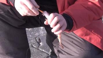 pescatore cattura un pesce persico sul bilanciatore in inverno video