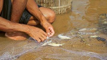 Nahaufnahme des Fischers, der verstrickte Fischfänge entfernt und in einem Bambuskorb aufbewahrt