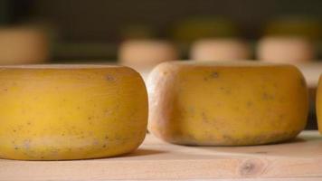refino de queijo em prateleiras de madeira