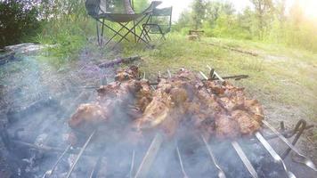 Shashlik or shashlyk  - national Caucasus original meat preparation dish video