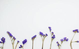 Flat lay with purple flowers photo