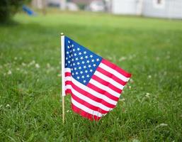 American flag in the grass photo