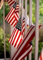 A row of American flags photo