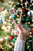 Close-up of a person holding candy canes photo