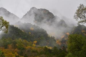 otoño bosque montaña en kamikochi japón foto