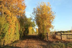 Autumn in the French countryside  photo