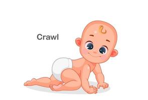 Cute baby crawling vector