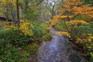 otoño en kamikochi, japón, con, pequeño, arroyo, estanque