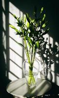 Green plant in vase photo