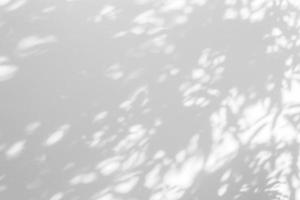 sombras sobre un fondo blanco foto