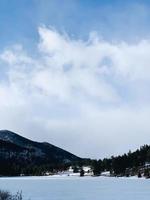 Green trees on mountain  photo